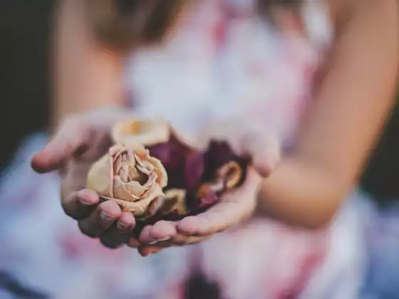 Reiki chữa bệnh từ xa trong 33 phút