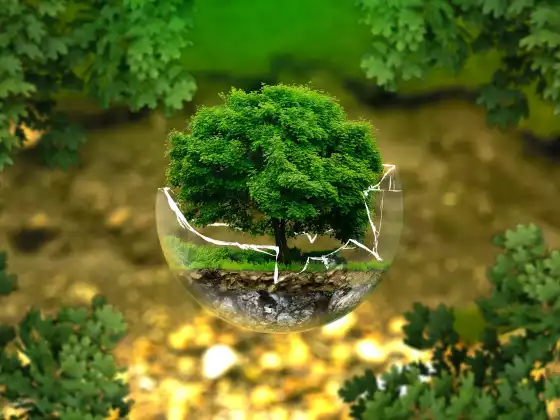 能量療愈和保護祝福