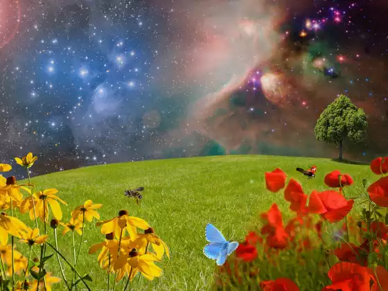 Dimanches de l'Ascension Spirituelle - Forfait 6 (3 cours)