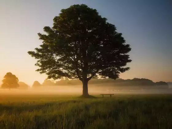 Les dimanches spirituels de l'Ascension