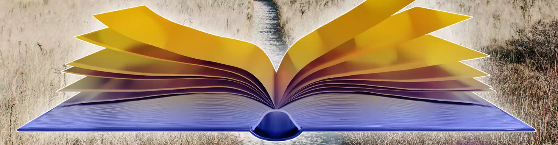 Cara Memulakan Perjalanan Anda ke Sesi Soal Jawab Langsung The Akashic Records/ Semak Maklumat Tambahan - Online Class by Anika Ray
