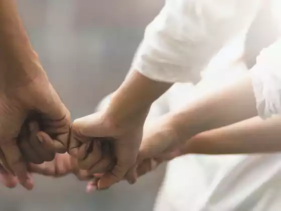 வெற்றிகரமான கூட்டுப்பணிகளுக்கான சிறந்த நடைமுறைகள்