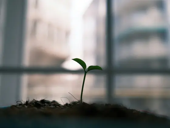 كيف يصبح الشفاء بالطاقة جسديًا - ندوة عبر الإنترنت رقم 4