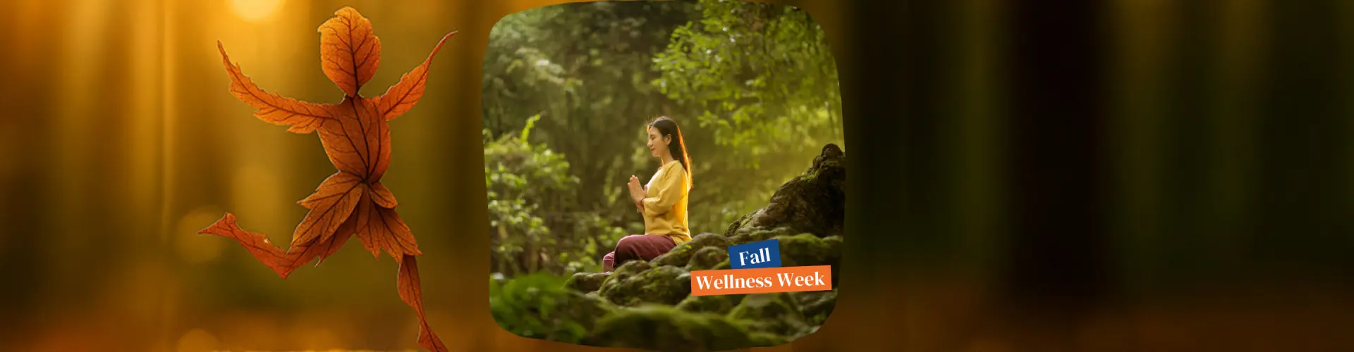 शरद ऋतु का आलिंगन: एक शरद विषुव रेकी ध्यान - Online Class by Jerry Mikutis