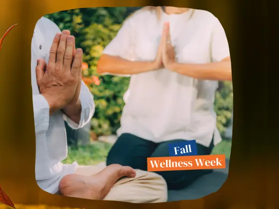 Câu chuyện có thật về Reiki (Nâng cao việc thực hành của bạn)