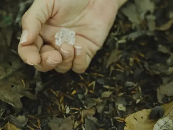 Remote Reiki Healing - Autumn Equinox and Eclipse Season